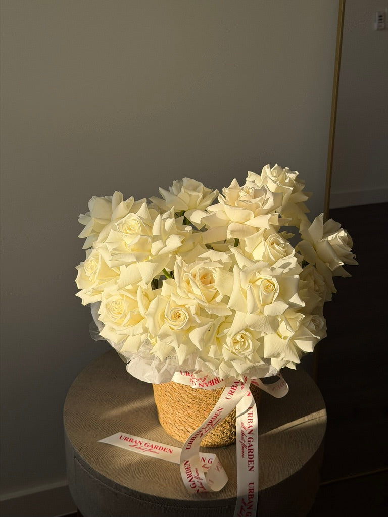 Pure White Elegance