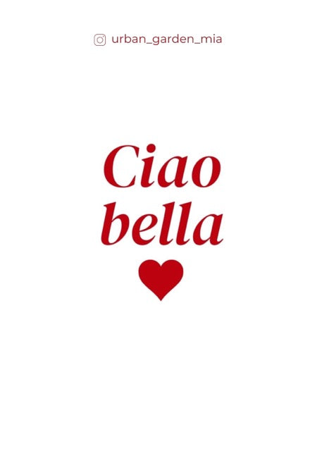 Card "CIAO BELLA"