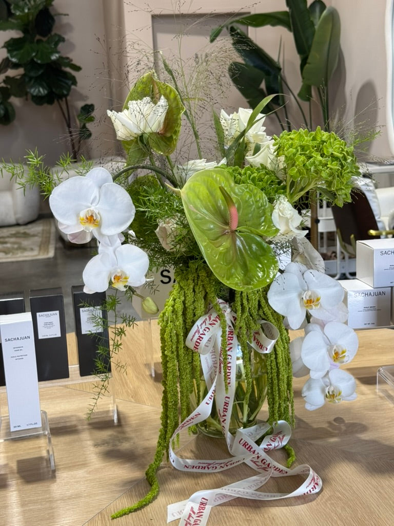 Botanical Muse