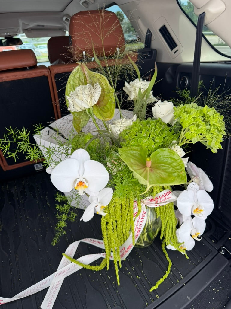 Botanical Muse