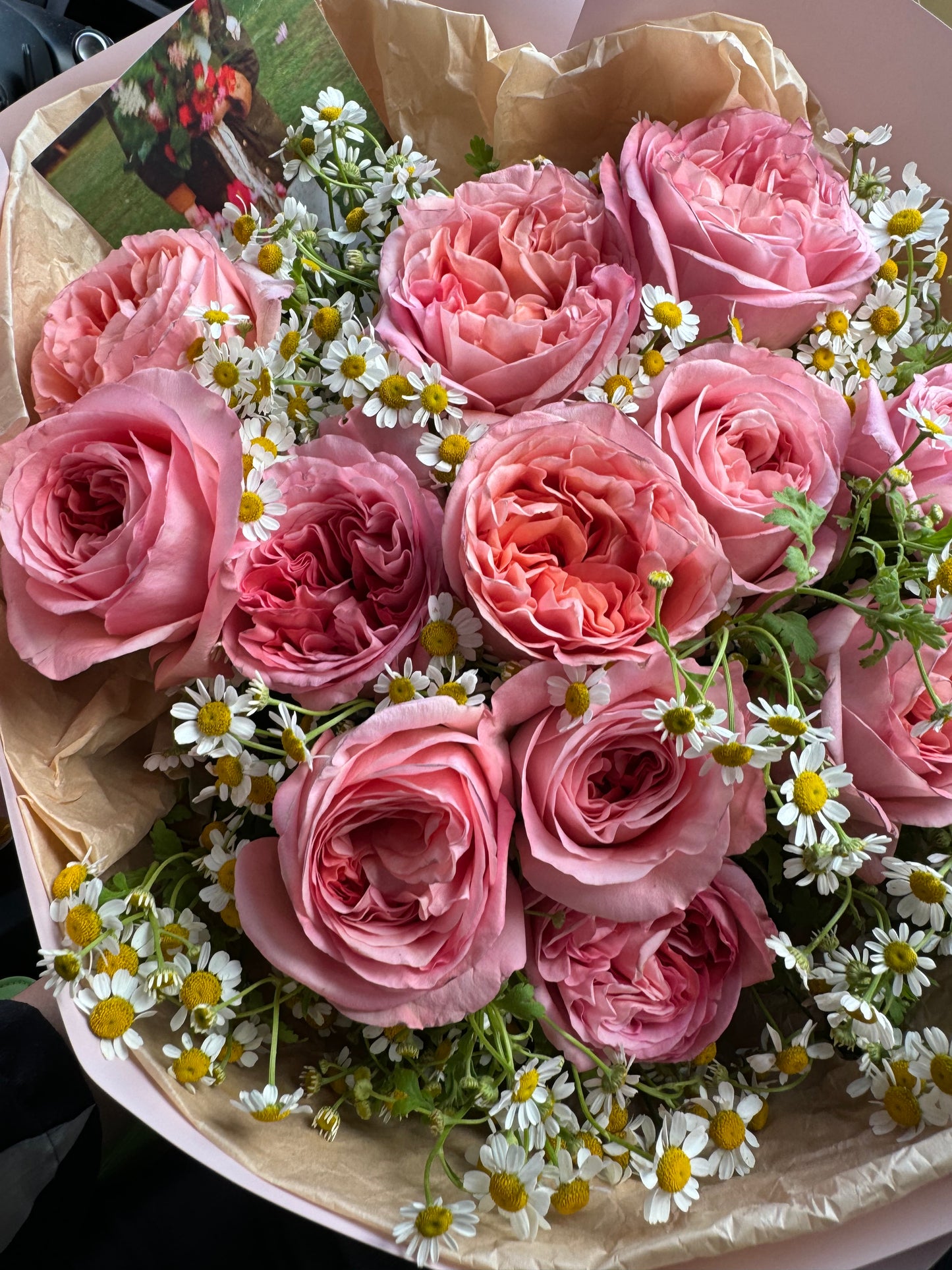 garden roses & chamomiles