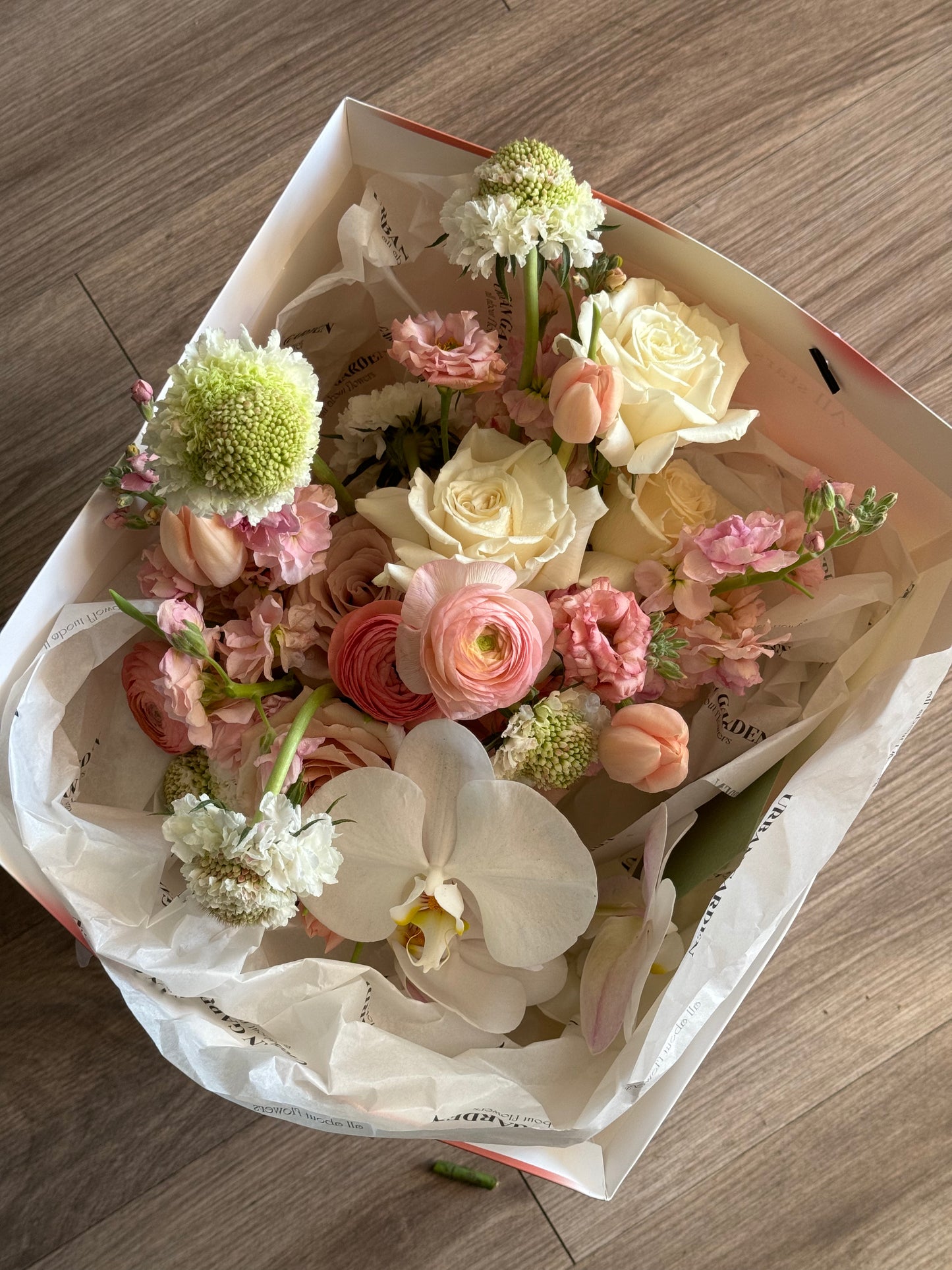floral waltz