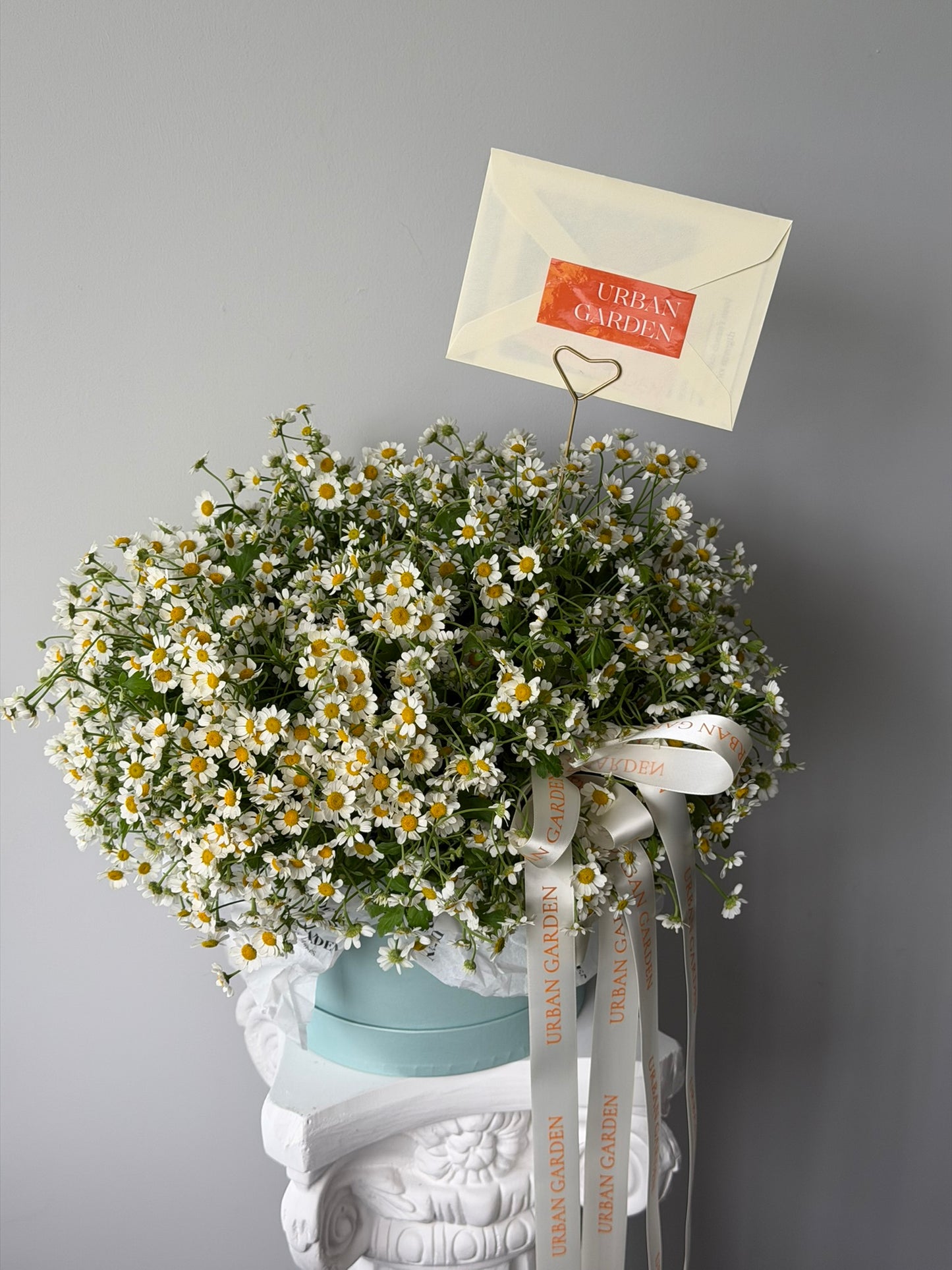 Wild Chamomile Hat Box
