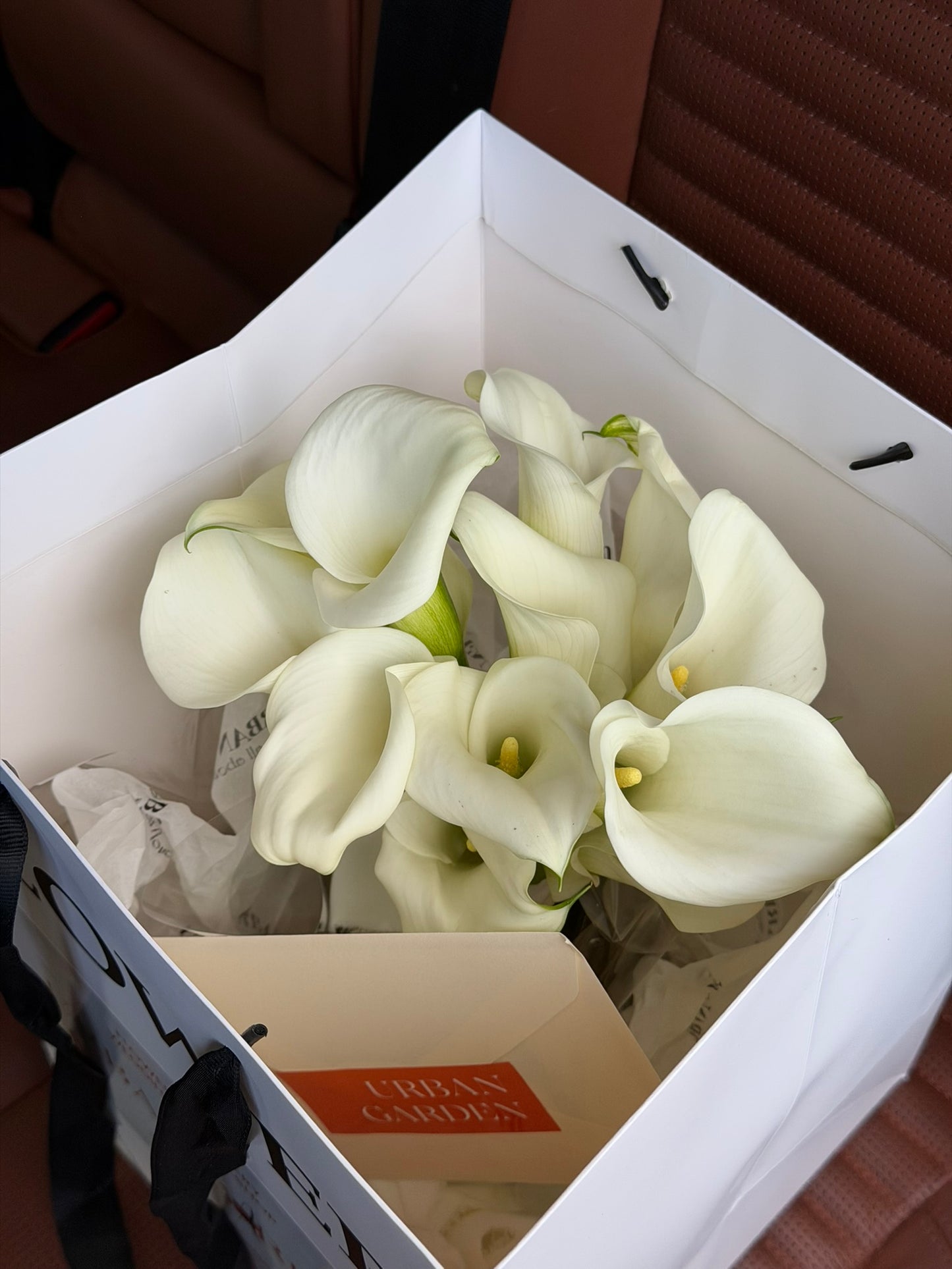 Calla lilies