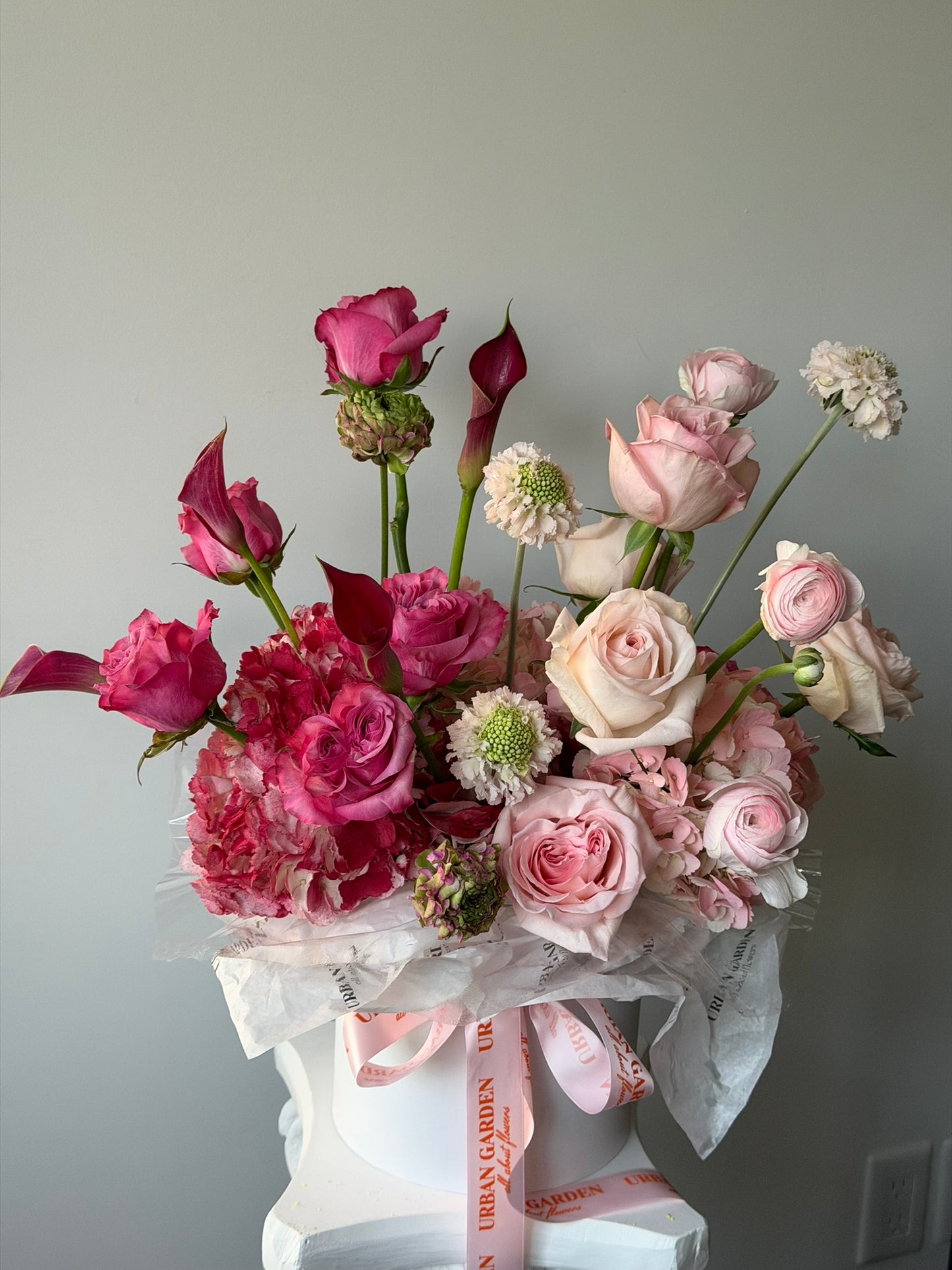 Blushing Grandeur